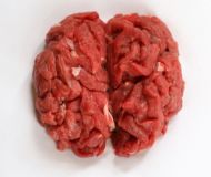 Picture of Beef Brain - Check today's price ( Preorder )