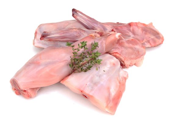 Picture of ارانب (اسأل عن سعر اليوم) - بالحجز