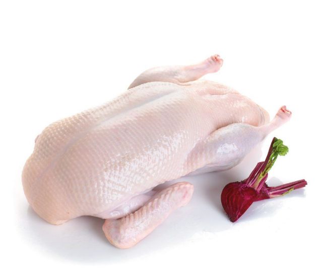 Picture of Balady Whole Duck (Check today's price) - Preorder
