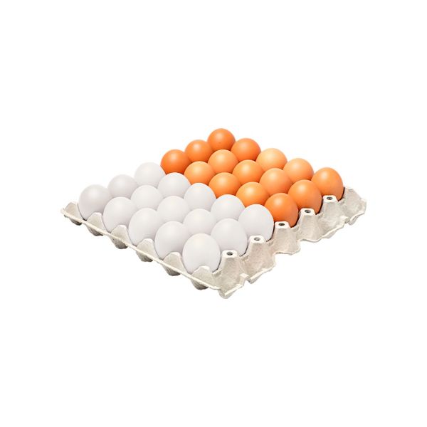 Picture of Egg (Check today's price)