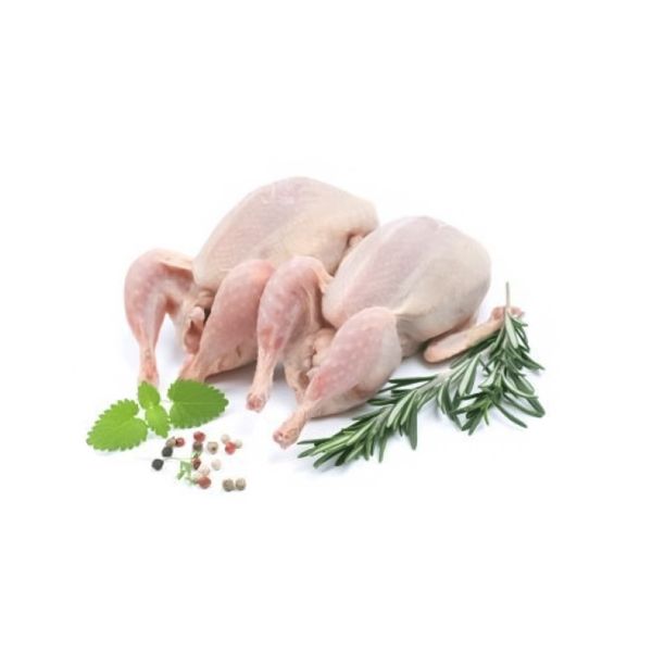 Picture of  Pigeons pair (Check today's price) - Preorder